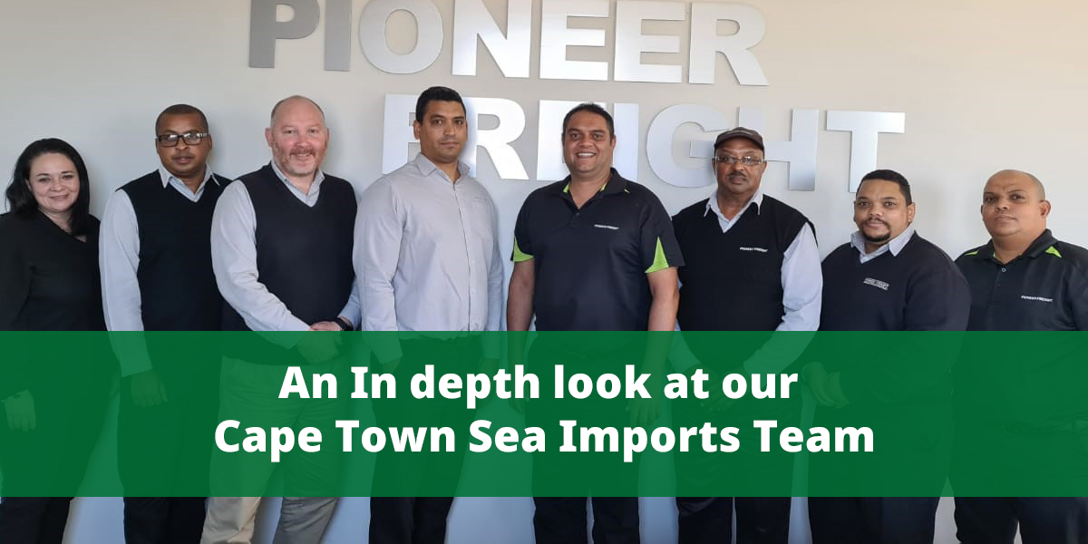 pioneer freight sea imports team
