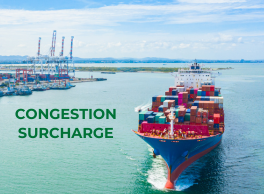 Pioneer Freight November 2023 Newsflash